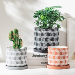 Cement flower pots in 3 colors and sizes on a table, one with cactus, one with green plant, one empty