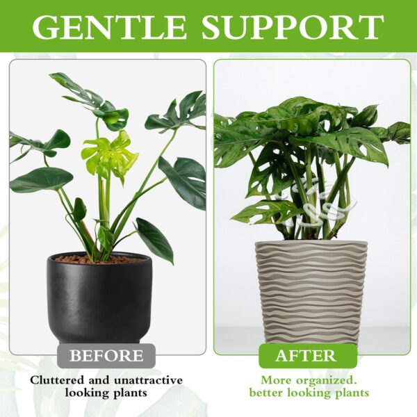 Before and after image of using acrylic moss pole plant support.