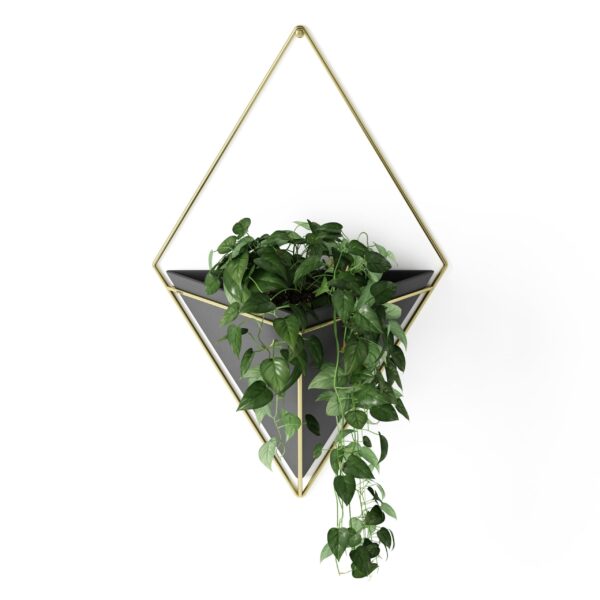 Black and Brass wall-mounted planter with geometric shape