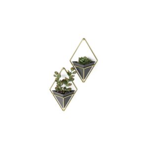 Pair of small Black, Brass wall planters