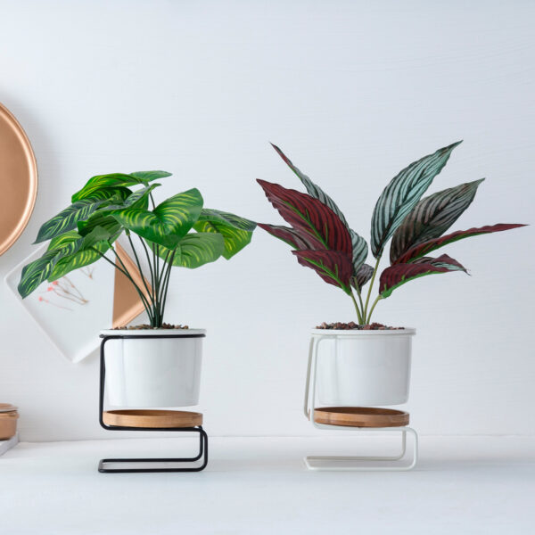 Black and white ceramic succulent pots with Z-shaped metal stands, placed on a desk facing the 9 o'clock position.