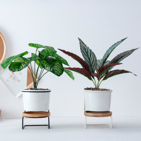 Black and white ceramic succulent pots with Z-shaped metal stands, placed flat on a desk, facing the 12 o'clock direction in a modern indoor setting.