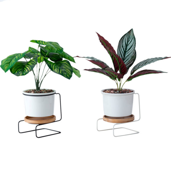 Black and white ceramic succulent pots with Z-shaped metal stands, displayed without background, emphasizing the modern design.