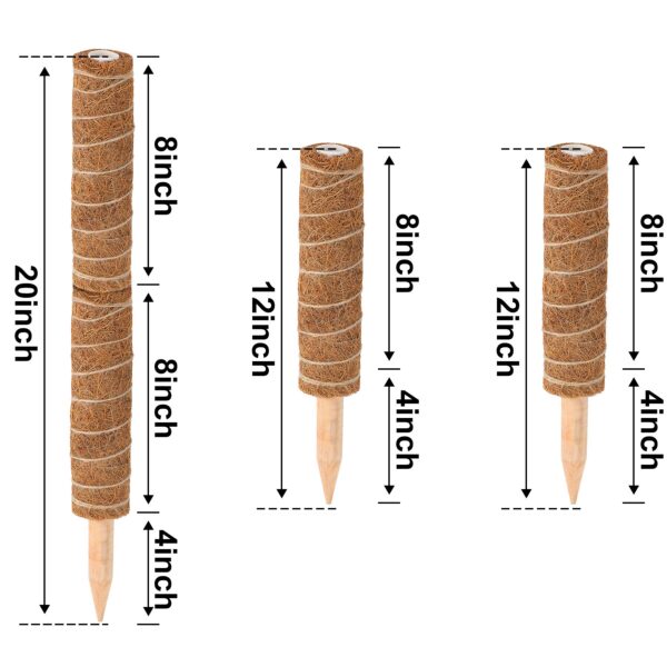 Coir moss pole size and dimensions