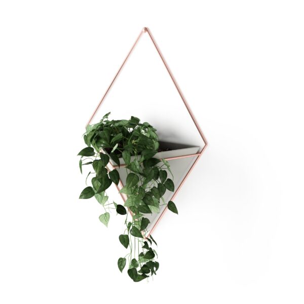Concrete and Copper wall planter in minimal design