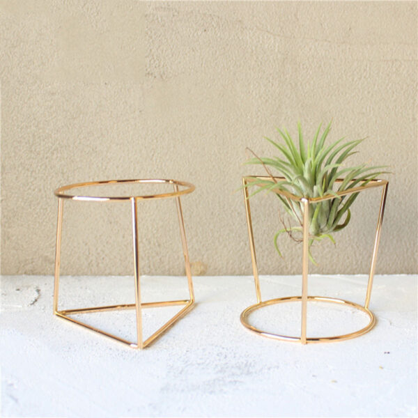 Two air plant holders in an indoor space, one holding an air plant and the other empty.