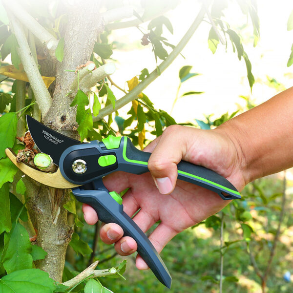 Gold pruning shears in use on a tree branch outdoors.
