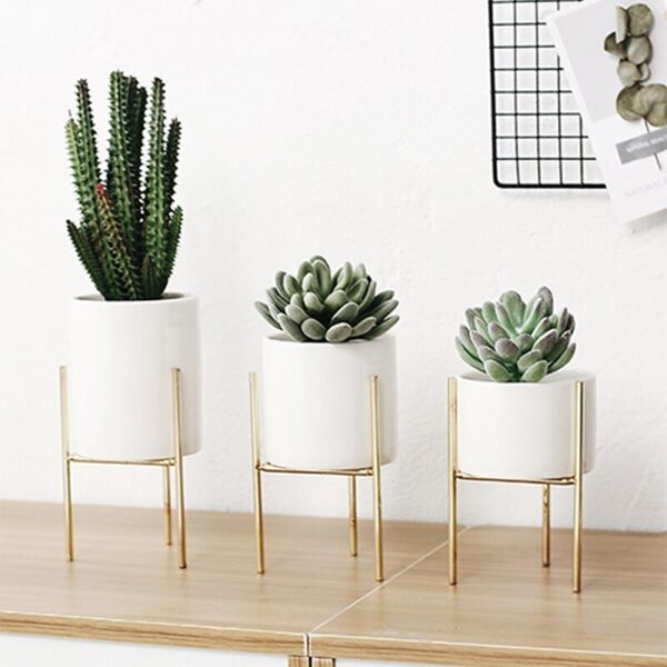 Indoor gold stand succulent flower pots placed on a table