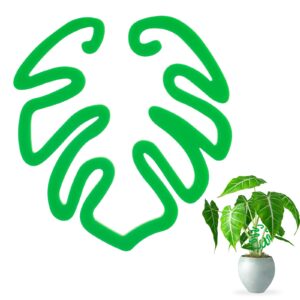 Green acrylic monstera leaf-shaped plant support used on a Monstera plant for better growth