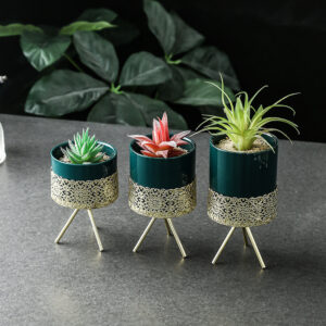 Green ceramic plant pots in 3 sizes used as home decor