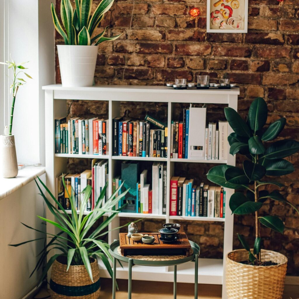 fiddle-leaf-fig-indoor-design Inside the room, next to the bookshelf, there’s a Fiddle Leaf Fig and several other plants.