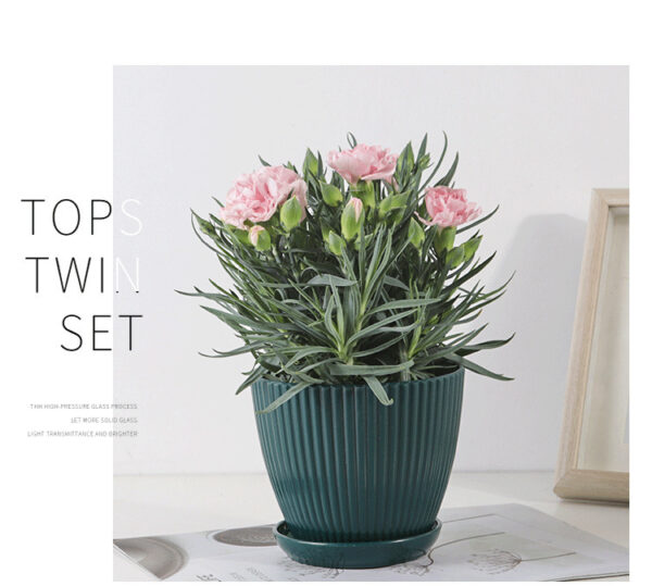 Jungle green flower pot with plant in natural setting