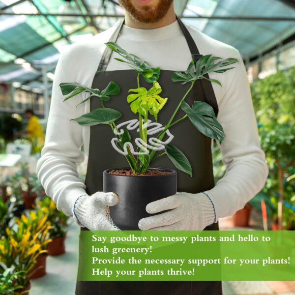 Acrylic moss pole plant support used to keep plants healthy and thriving.