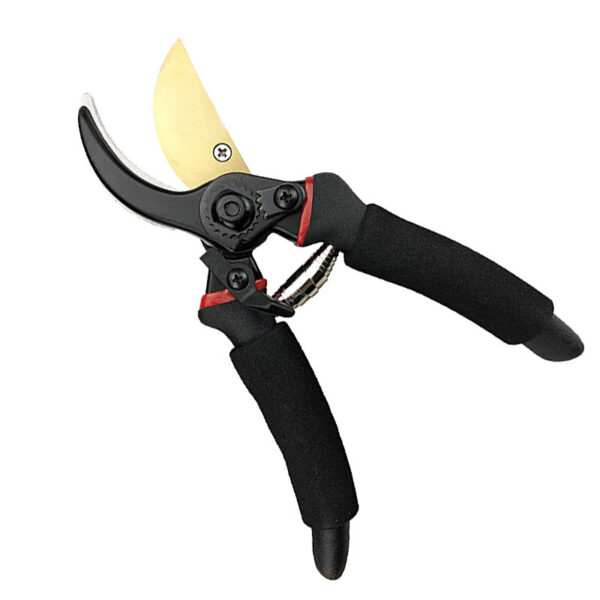 Pruning shears with open sharp blades
