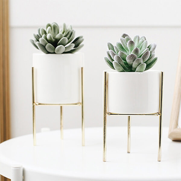 Two succulent flower pots with gold stands, indoor setting
