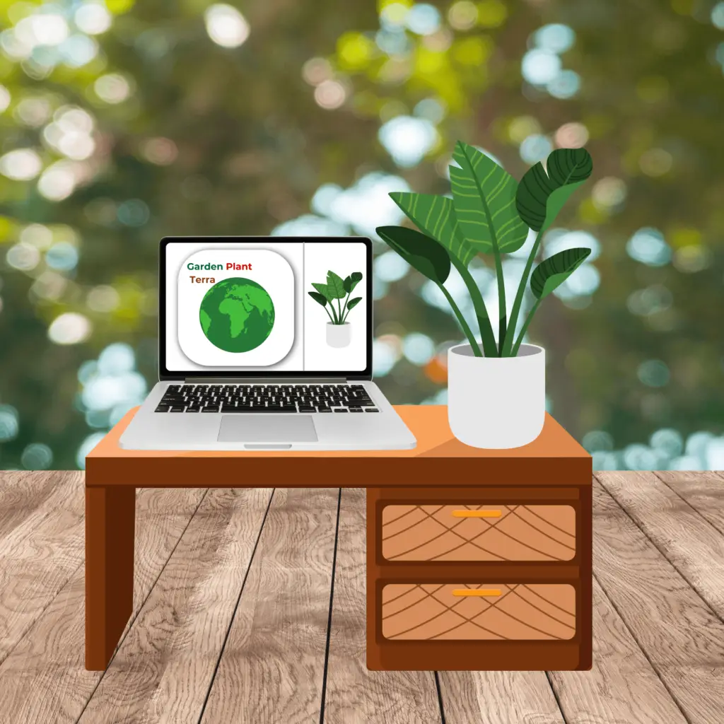 Story Behind Garden Plant Terra Online Care Plan on Website and Mobile App