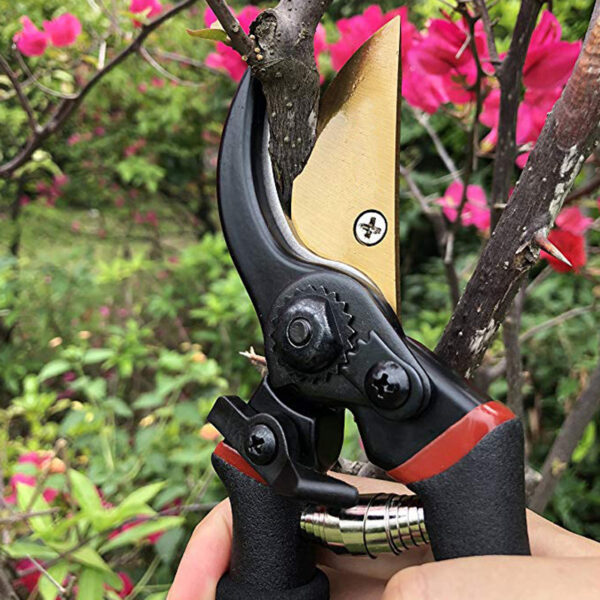 Pruning shears cutting a tree branch outdoors