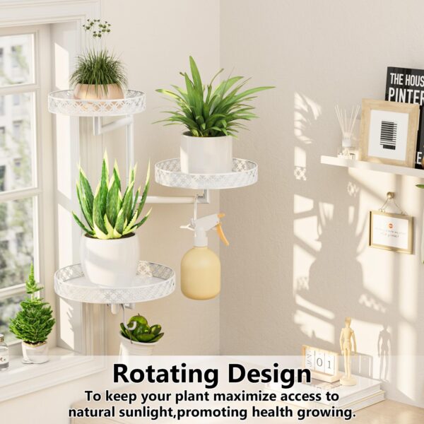 Window plant shelf mounted beside a window for maximum sunlight exposure