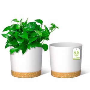White plant pots 16.5cm, one with green plant