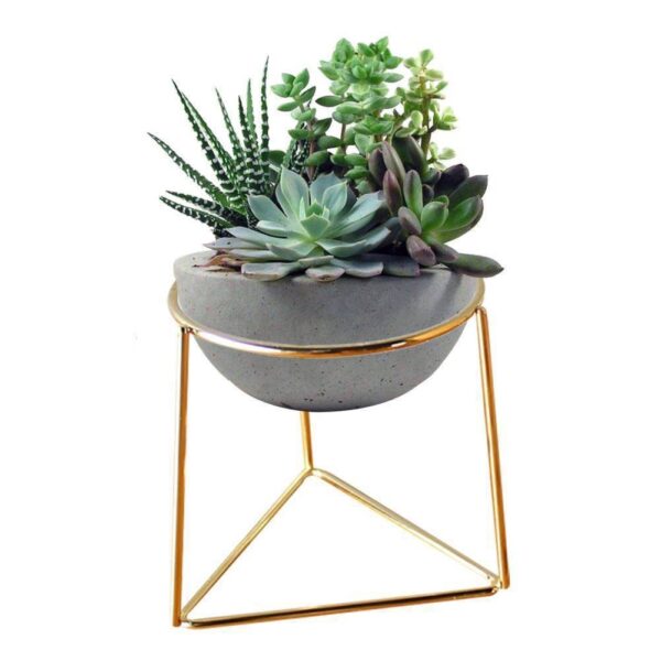 Air plant holder with an air plant placed on top, showcasing modern geometric design.
