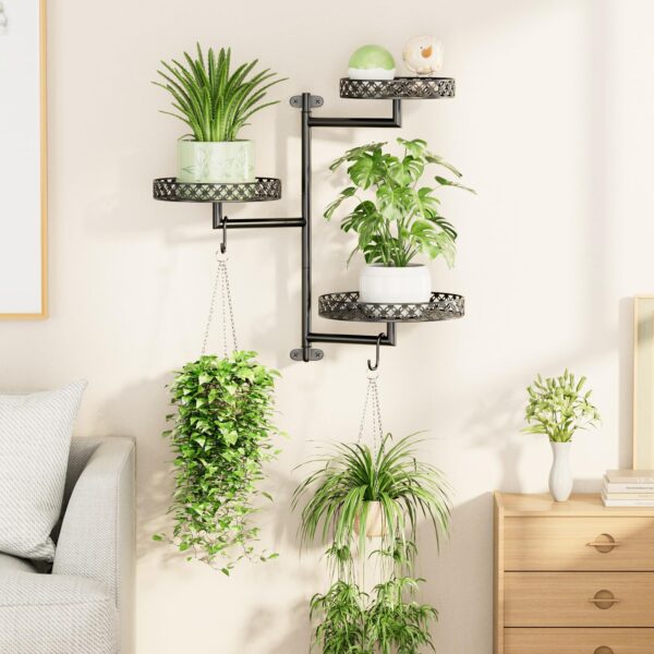 Indoor wall-mounted metal plant shelf holding green plants