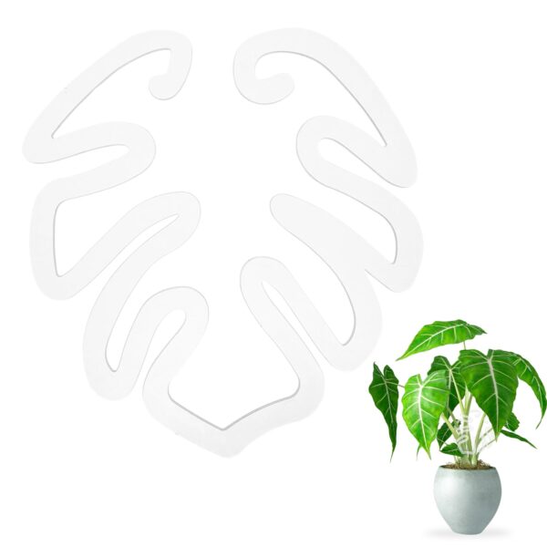 Transparent acrylic monstera leaf-shaped plant support used on a Monstera plant for better growth