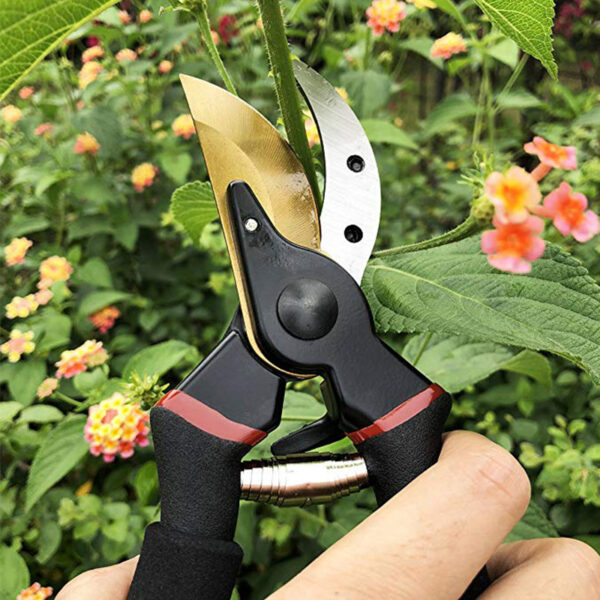 Pruning shears trimming a plant branch