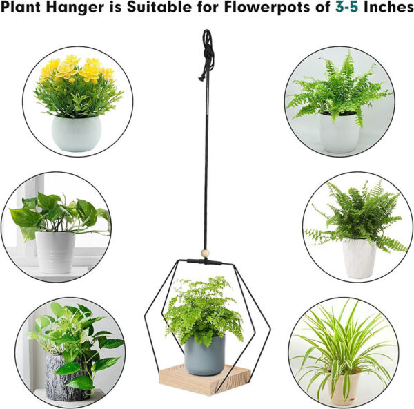 Hexagonal black plant hanger with plant, surrounded by different plant variations.