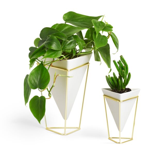 White and Brass tabletop planter set, large and small