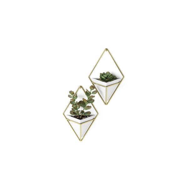 White/Brass wall-mounted planter set