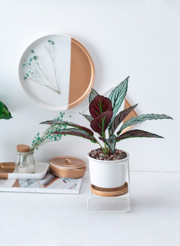 White ceramic succulent pot with Z-shaped metal stand, featuring a plant, placed flat on a desk in a stylish indoor setting.