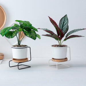 White ceramic succulent pot with a Z-shaped metal stand, featuring a mini monstera plant, placed on a desk in a stylish indoor setting.