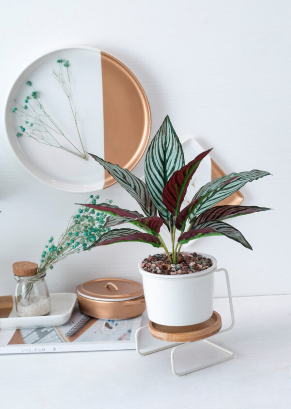 White ceramic succulent pot with a Z-shaped metal stand, featuring a plant, placed on a desk in a modern indoor setting.