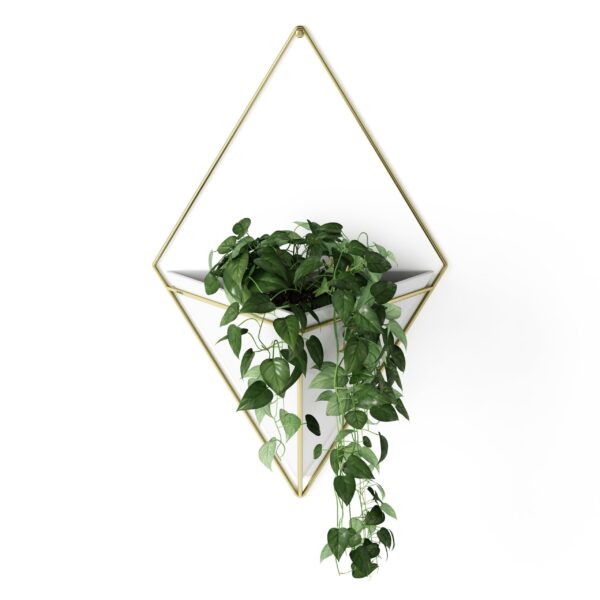 Wall-mounted geometric planter in White and Nickel