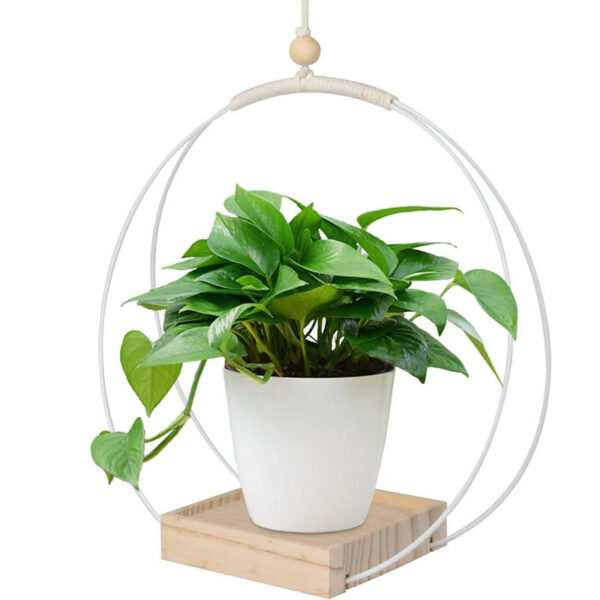 Round white hanging plant pot with a plant inside, used indoors.