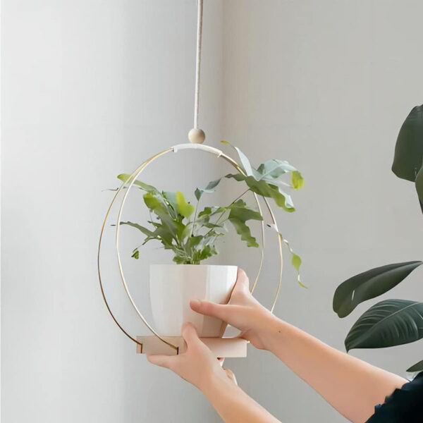 White round plant hanger being placed with a plant inside.