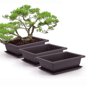 Antique Plastic Flower Pots – Small Rectangular Succulent Planters with Tray - Antique Style Planter | All Products