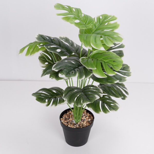 Artificial Monstera Plant 18 Head Medium White Edge - Artificial Succulent | Artificial Plants