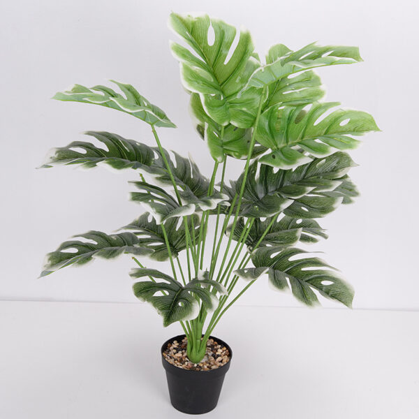 Artificial Monstera Plant 18 Large White Edge - Home Decor | Artificial Plants