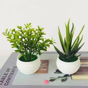 Artificial Office Plant Decoration – Realistic Desktop Greenery for Home or Workspace - Artificial Succulent | All Products