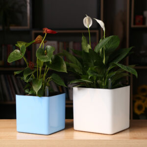 Automatic Self-Watering Flower Pot with Visible Water Level – Modern Plastic Planter for Home and Office Use - Eco-Friendly Planters | All Products