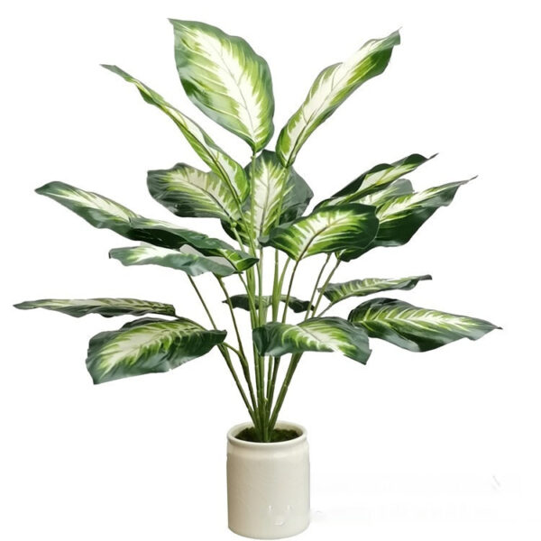 Bai Wannian plant with dense green leaves, vibrant and healthy in a stylish pot.
