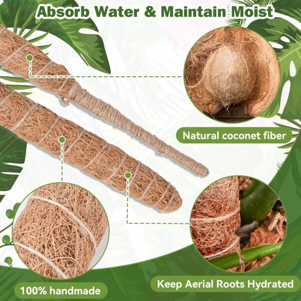 Close-up of the moss pole material showing coconut fiber texture and water retention features.