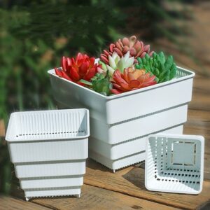 Breathable Square Plastic Planter Pot for Succulents – Durable Root Control Flowerpot - Breathable Planter | All Products