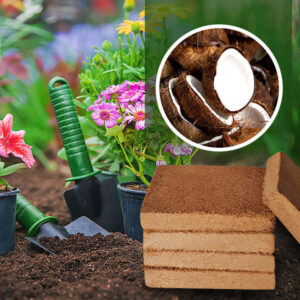 Potted flower on soil with a small shovel and four stacked coconut brick soil products displayed.