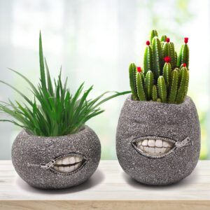 Creative Resin Succulent Flower Pot – Set of 2 Decorative Planters for Home or Office - Creative Face Planter | Gift Boxes