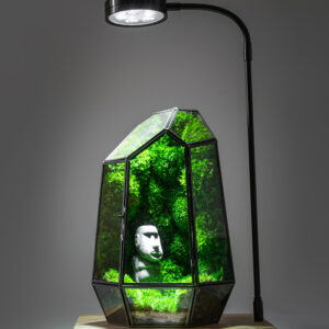 Modern geometric terrarium lamp with moss and warm LED light on a desk.