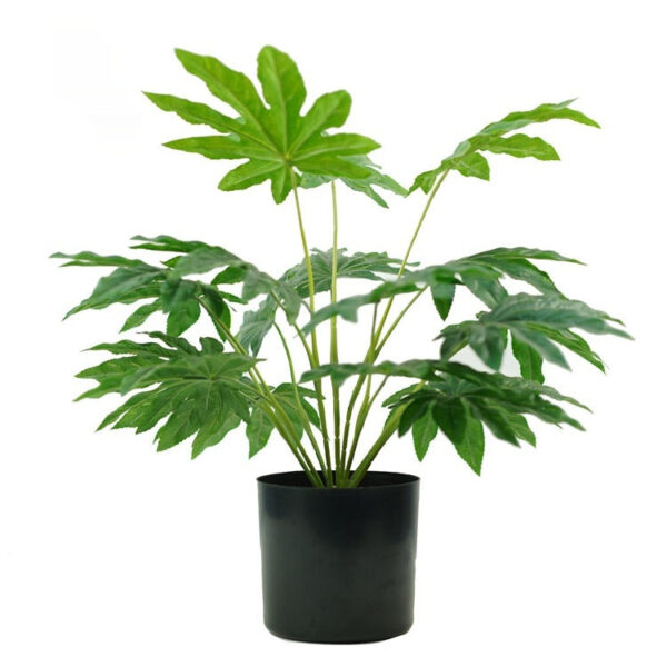 Fatsia Japonica artificial plant in black pot with lush green leaves.