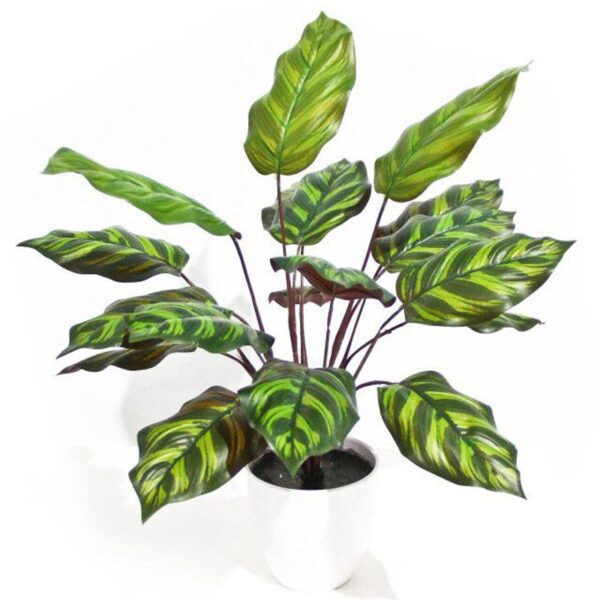Nestled green leaves on a vibrant red background highlighting the plant’s texture.