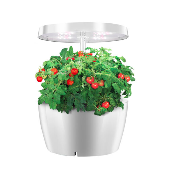 Plant Growth Light with 40 LED Beads – 7W Indoor Grow Lamp Aqua-01 Model - Electronic | All Products